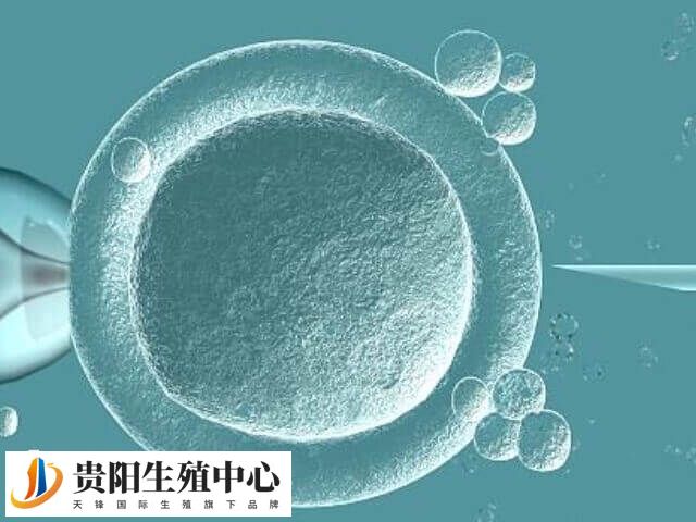 影响养囊成功率的因素多