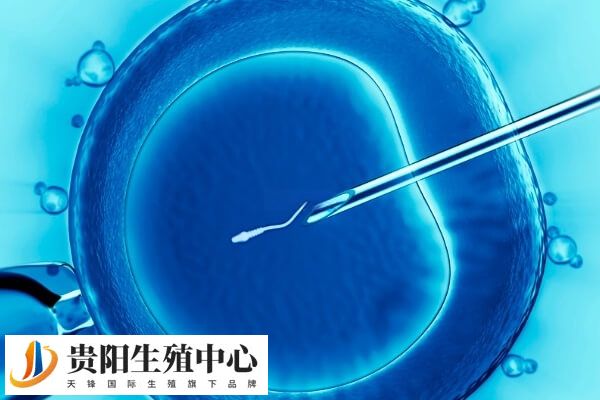 试管方案的选择需结合个人身体状况