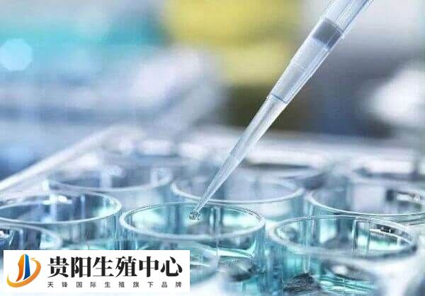 短效长方案取卵数量约在8-15个之间