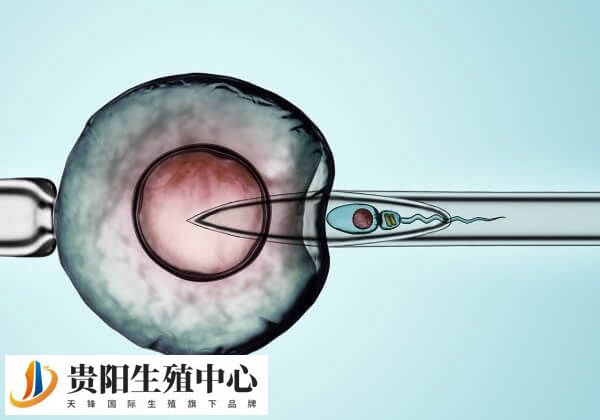 移植第7天出血像月经一样可能是失败了