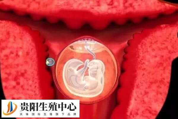 移植第七天出血可能是着床引起的