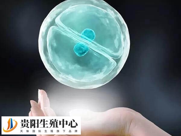 鲜胚移植第六天出血是着床了