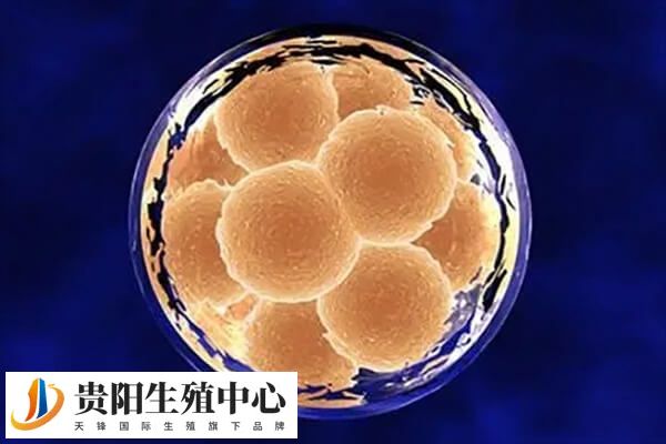 移植第六天肚子痛可能是移植失败