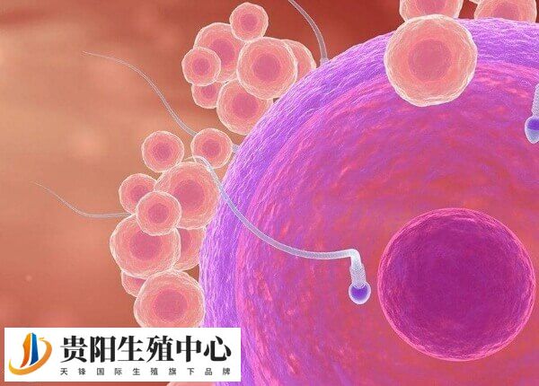 移植后出血有六大原因