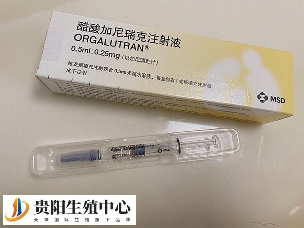 过敏女性不宜使用加尼瑞克