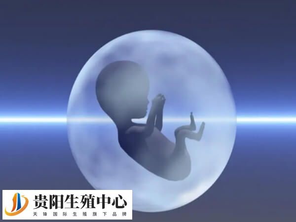 取卵后存在输卵管积水不适合鲜胚移植