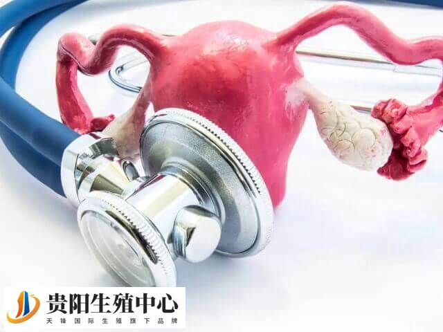 始基子宫患者无月经