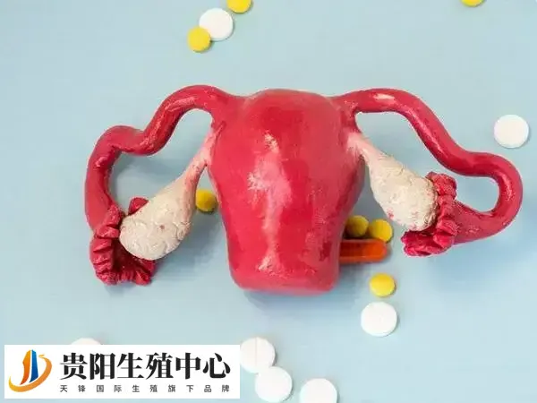 始基子宫妊娠后往往引起流产