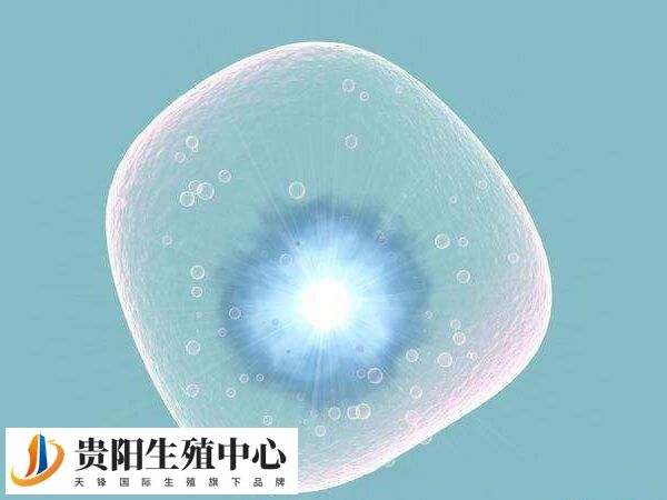 短方案整个促排周期是比较短的