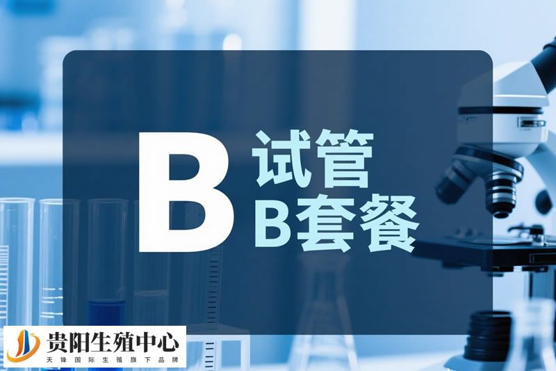 B套餐：供卵自怀三代 18万