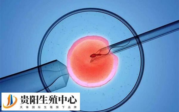 试管短方案用药反应因人而异