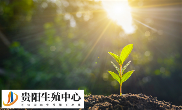 吃错叶酸易致胎儿脑畸形?这些你不得不知道