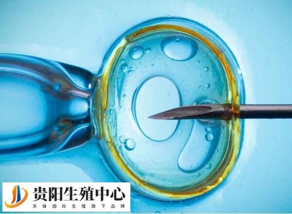 一般移植后7天就会着床