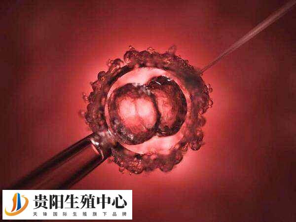 改良长方案主要适用于卵巢功能轻度减退者