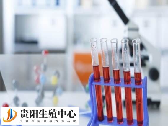 试管改良方案是一种辅助生殖技术