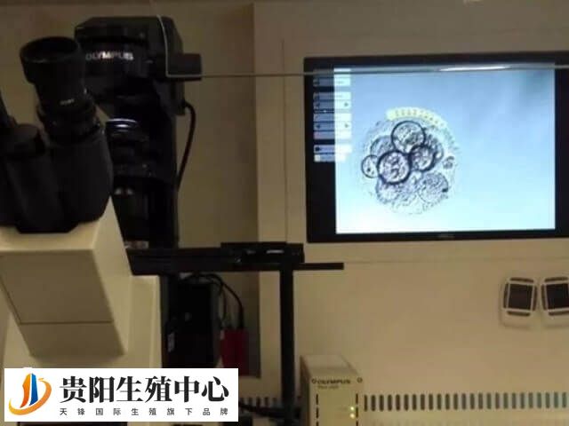 辅助孵化技术大概提高2%-5%的试管成功率