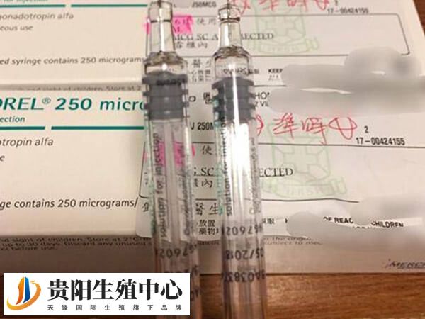 拮抗剂方案可提高受孕机会