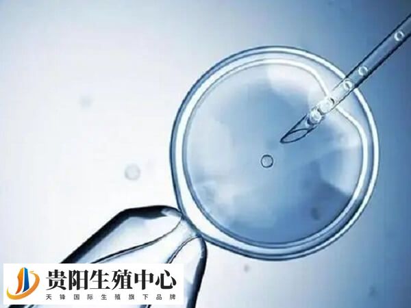 拮抗剂方案适合高龄女性