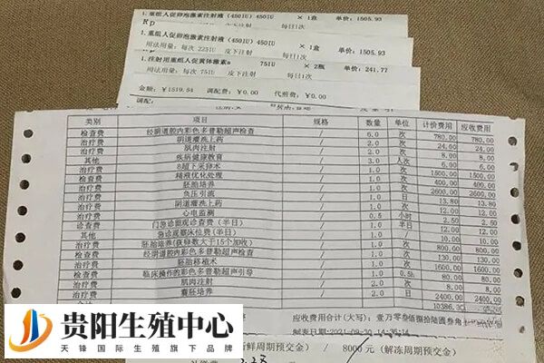 试管婴儿建档是试管治疗流程中的关键环节