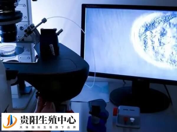 第三代试管可筛查单基因遗传病