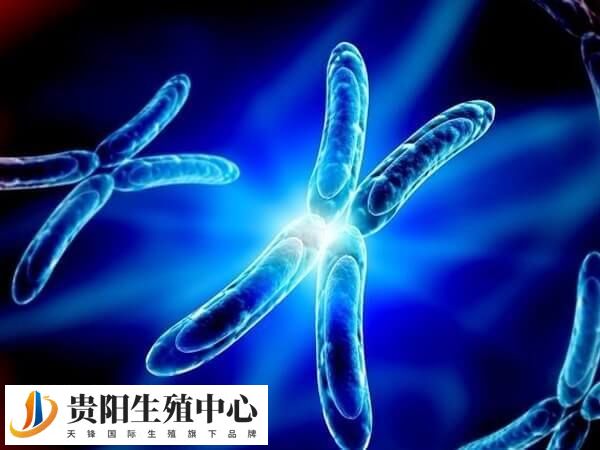 染色体疾病也可以通过三代试管婴儿筛查