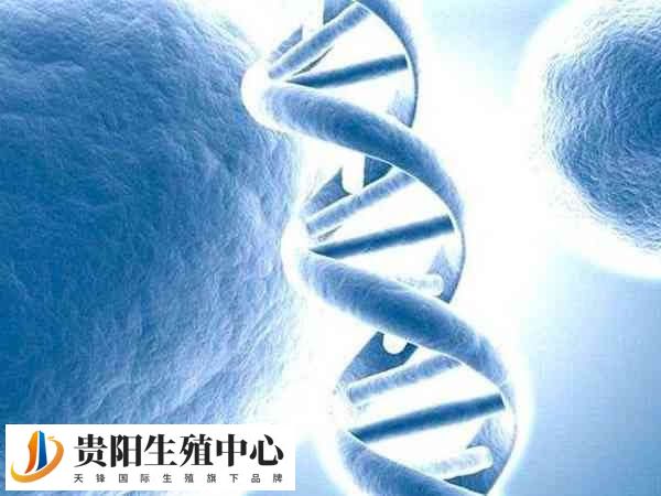 试管婴儿不能100%解决所有基因疾病