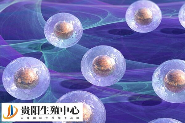 拮抗剂方案卵泡质量不好可能是药物使用不当