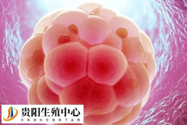 胚胎移植后嗜睡正不正常