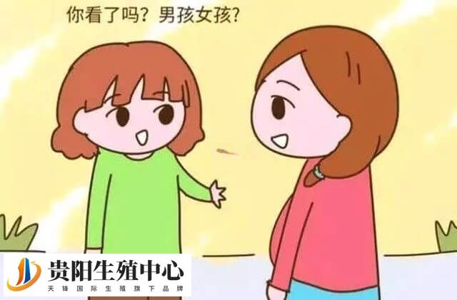 试管婴儿能不能鉴定性别