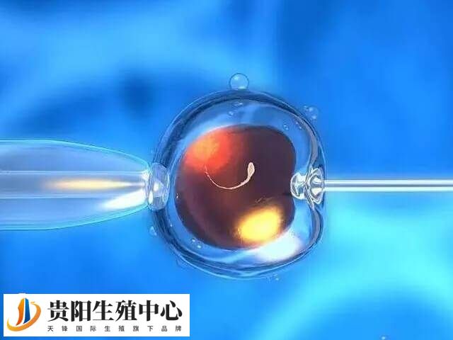 试管短方案当月可不可以移