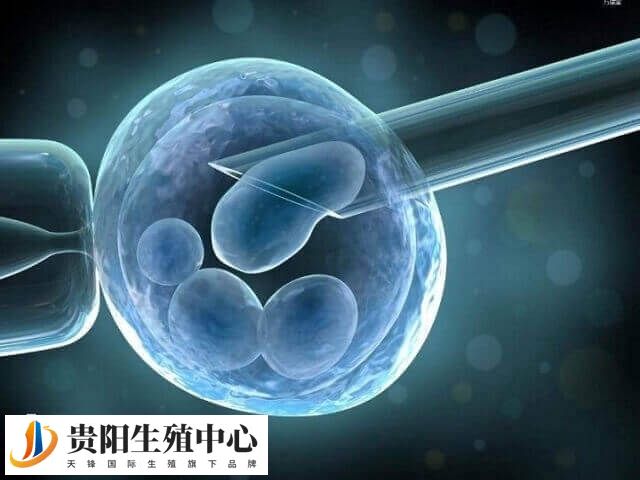 短方案促排后当月可以进行鲜胚移植