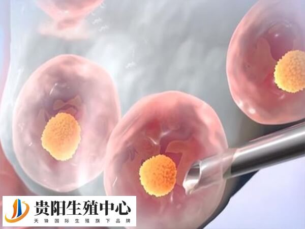 贵阳试管进入周期到移植鲜胚的过程是怎样的