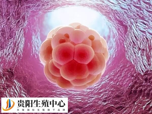 贵阳胚胎移植后尿多屁多是什么情况