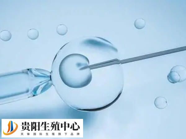 试管婴儿促排会不会提前排卵